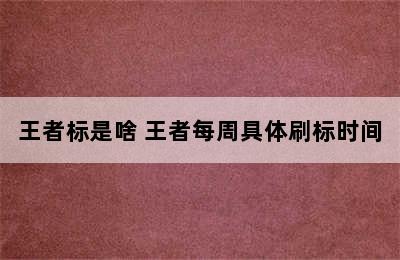 王者标是啥 王者每周具体刷标时间